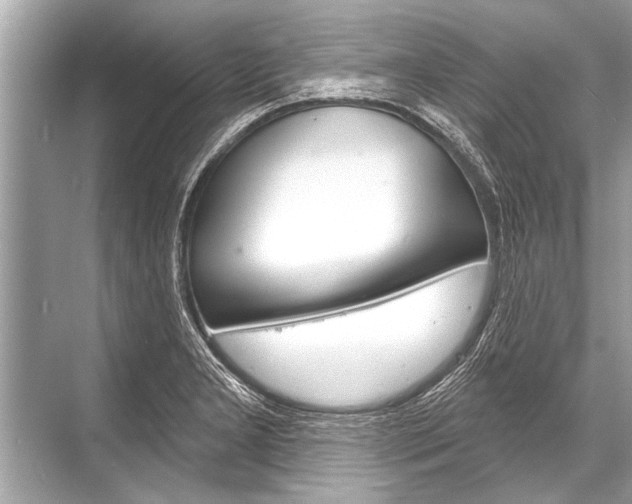 X0000068821277200605050933