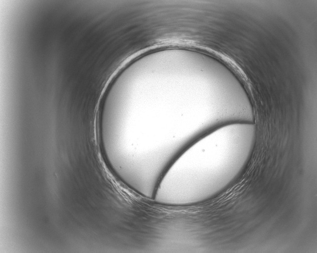 X0000068821295200605050932