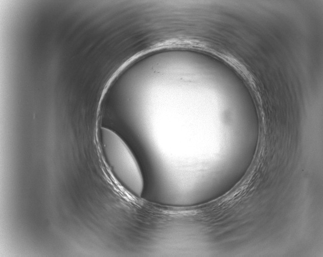 X0000068821296200605050932