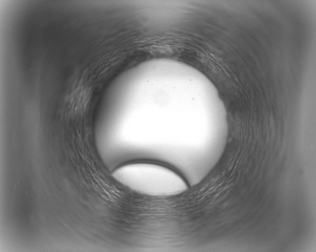 X0000068821297200605050932