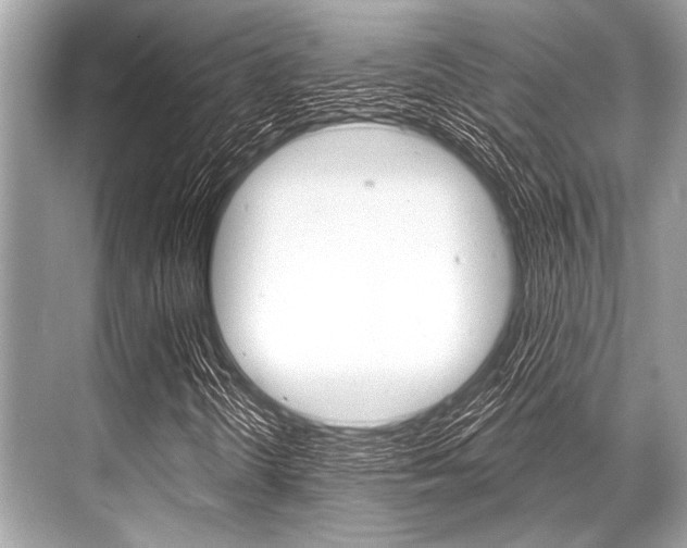 X0000068821298200605050932