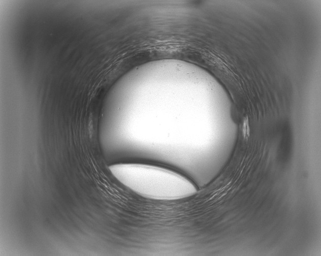 X0000068821299200605050932