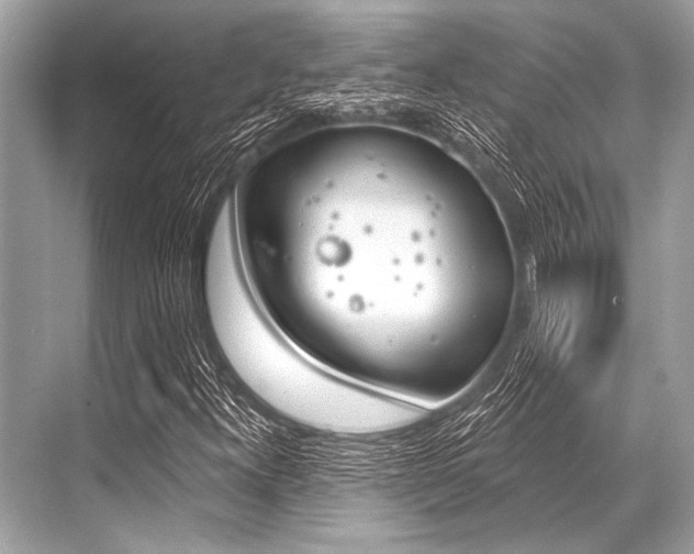 X0000068821300200605050932