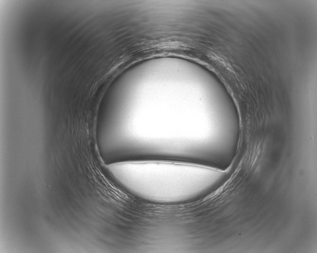 X0000068821305200605050932