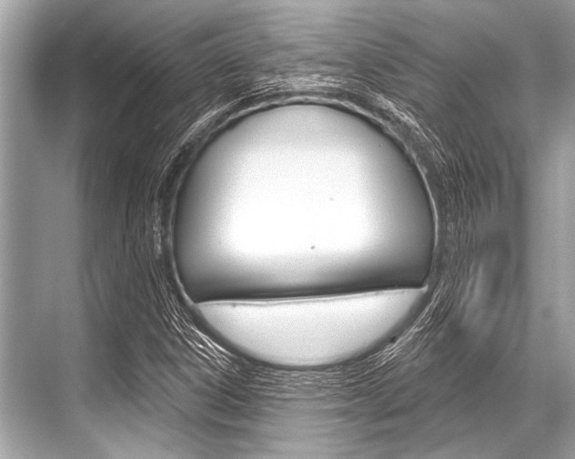 X0000068821306200605050932