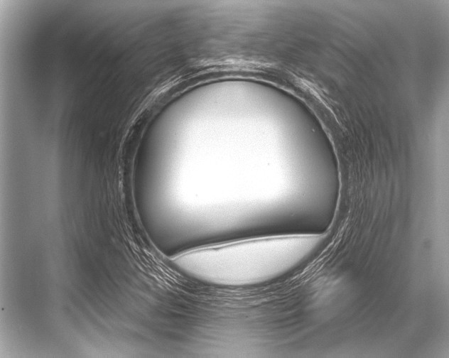 X0000068821307200605050932