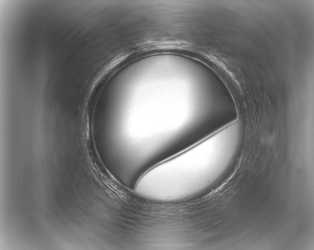 X0000068821317200605050932