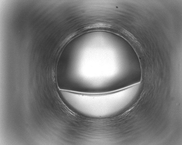 X0000068821321200605050932