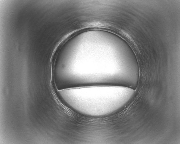 X0000068821323200605050932
