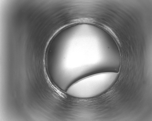 X0000068821339200605050932
