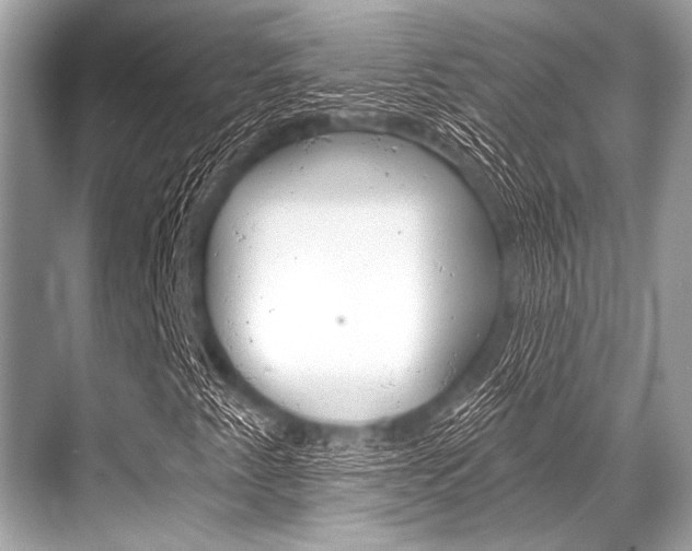 X0000068821345200605050932