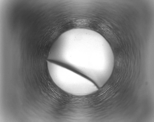 X0000068821346200605050932