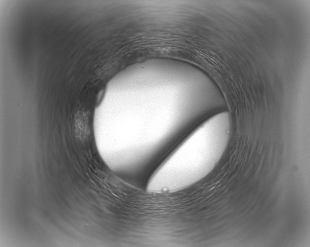 X0000068821347200605050932