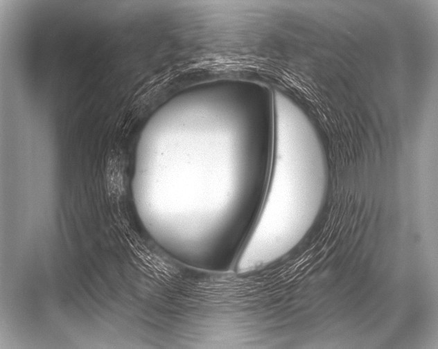 X0000068821348200605050932