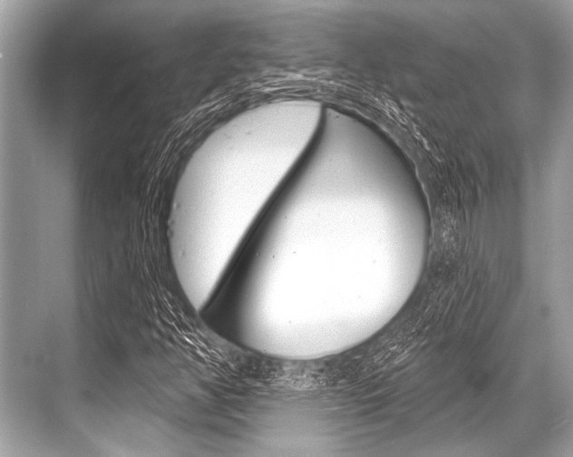 X0000068821350200605050932