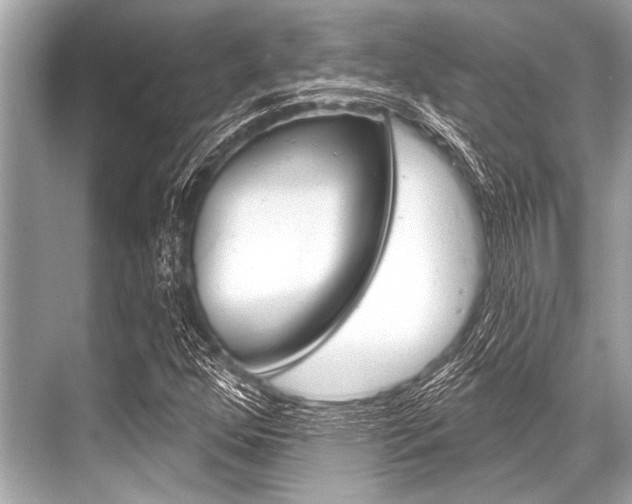 X0000068821352200605050932
