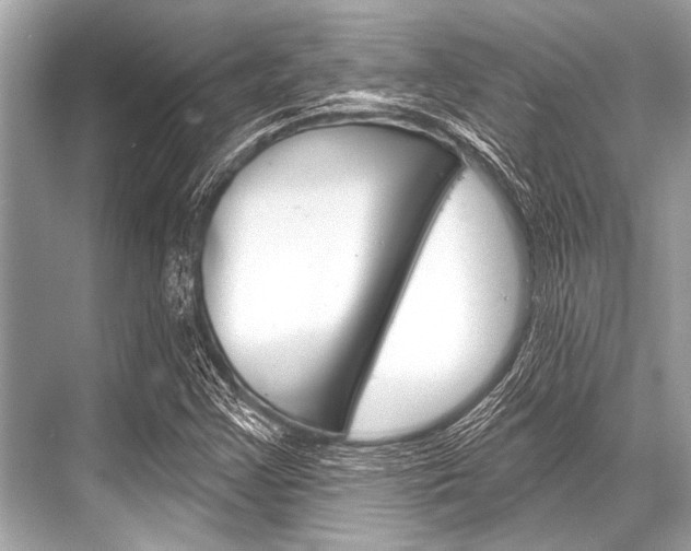 X0000068821355200605050931