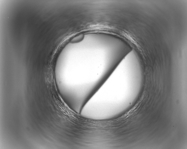 X0000068821358200605050931