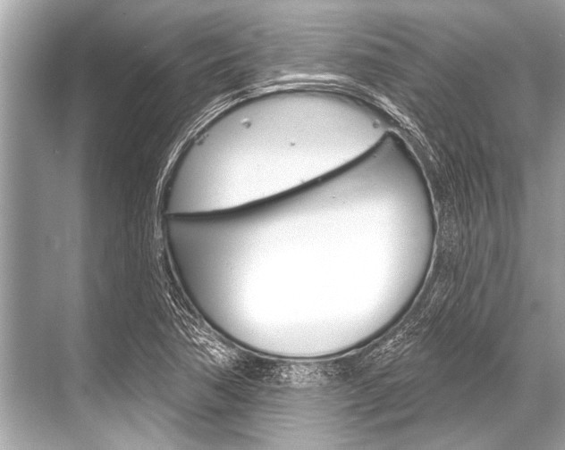 X0000068821362200605050931