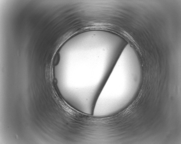 X0000068821370200605050931