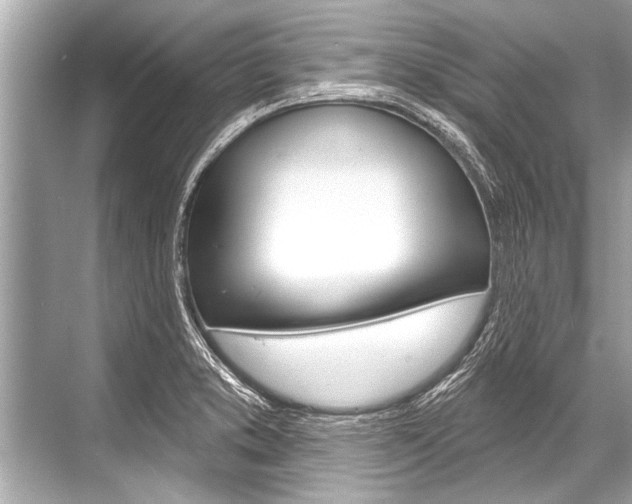 X0000068821373200605050931