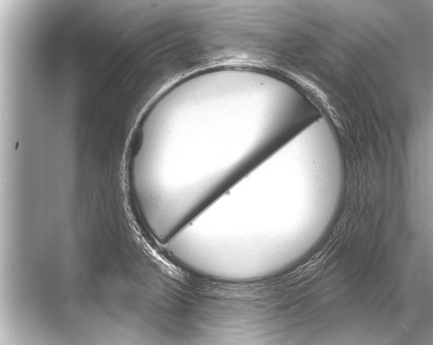 X0000068821375200605050931
