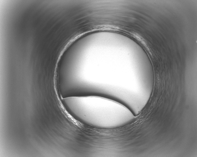 X0000068821379200605050931