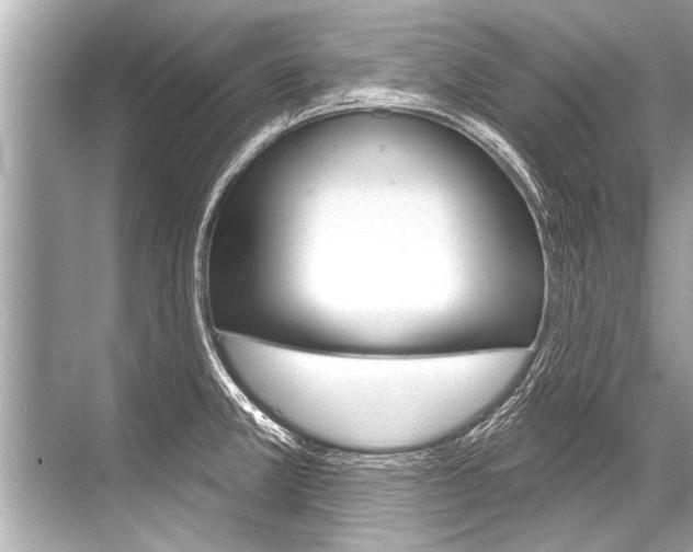 X0000068821381200605050931