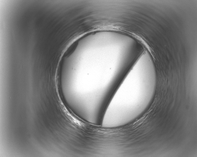 X0000068821387200605050931
