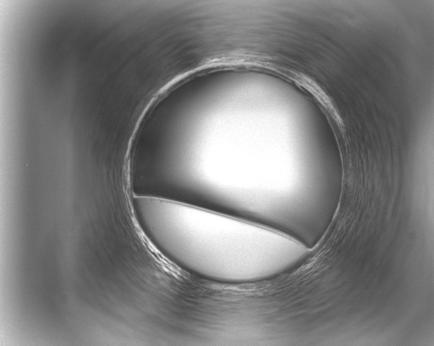 X0000068821388200605050931