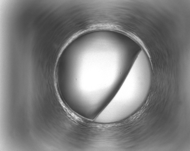 X0000068821389200605050931