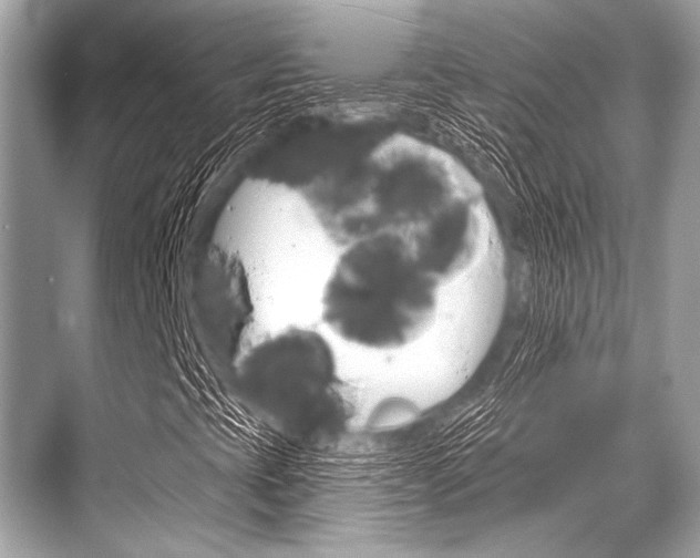 X0000068821393200605050930