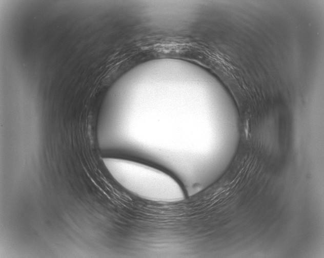 X0000068821396200605050930