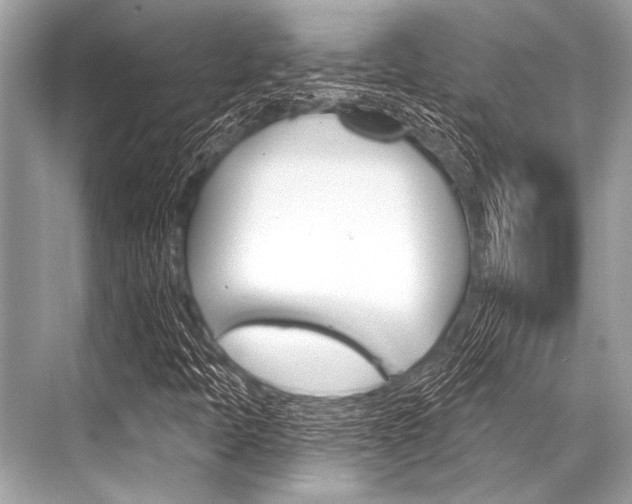 X0000068821397200605050930