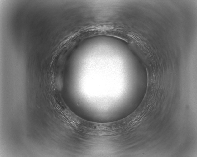 X0000068821398200605050930