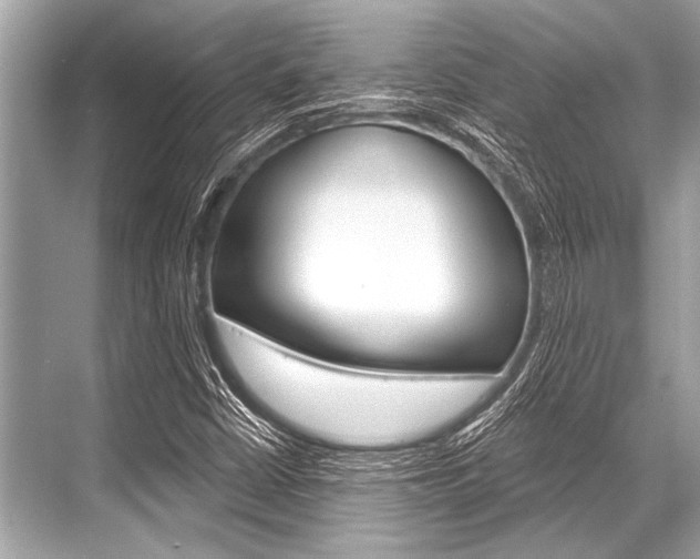 X0000068821402200605050930