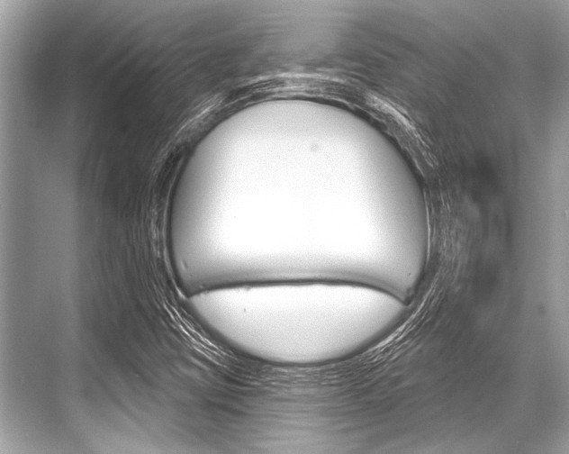 X0000068821403200605050930