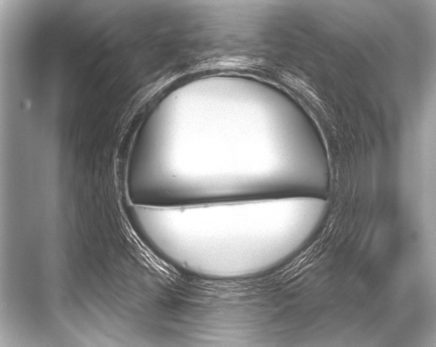 X0000068821404200605050930