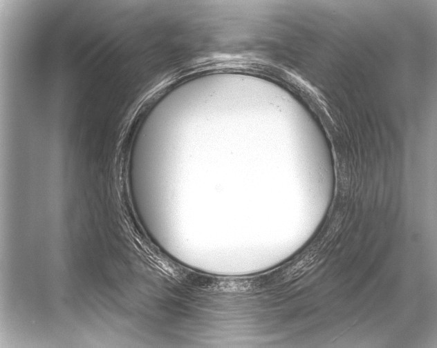 X0000068821411200605050930