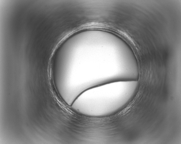 X0000068821413200605050930