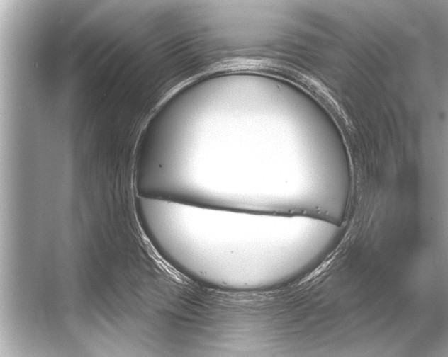 X0000068821417200605050930