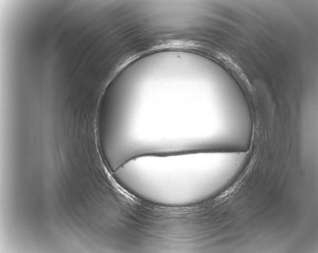 X0000068821425200605050931