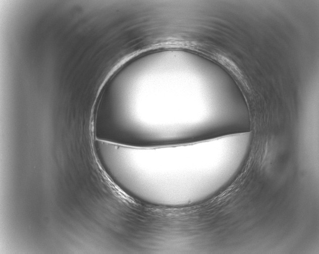 X0000068821428200605050931