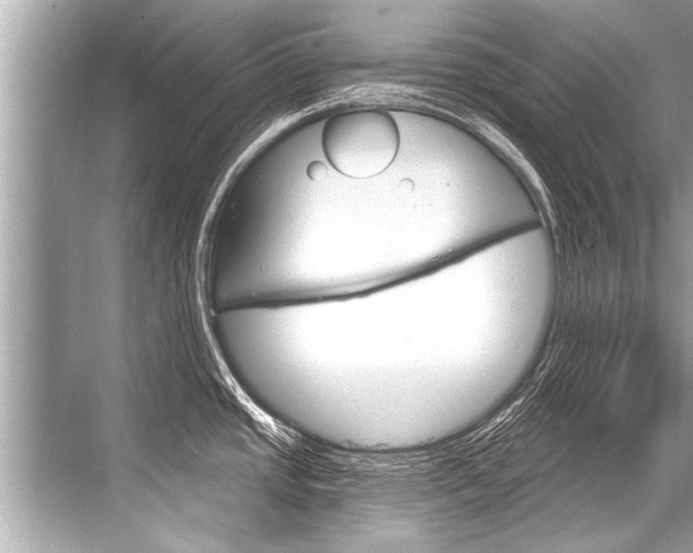 X0000068821437200605050931
