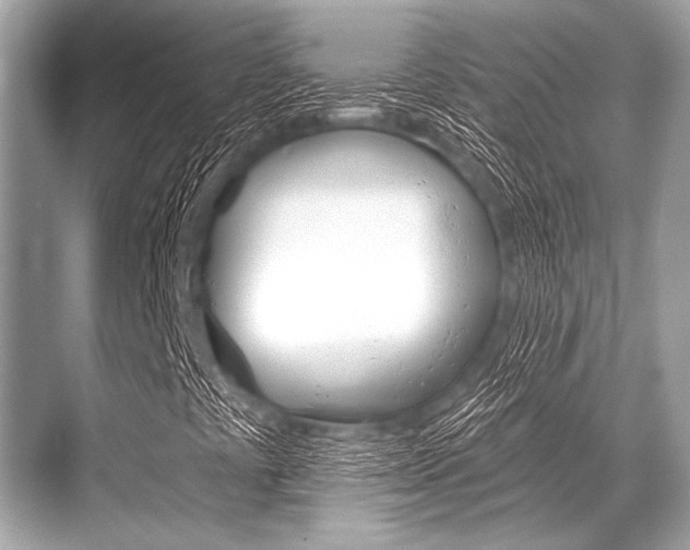 X0000068821441200605050930