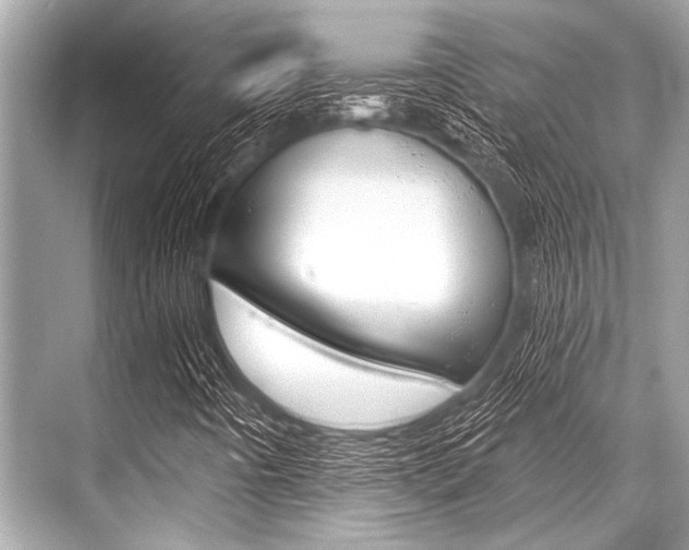 X0000068821442200605050930