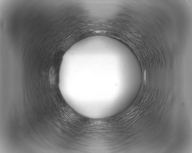X0000068821443200605050930