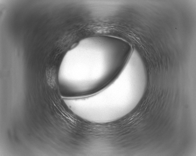 X0000068821444200605050930