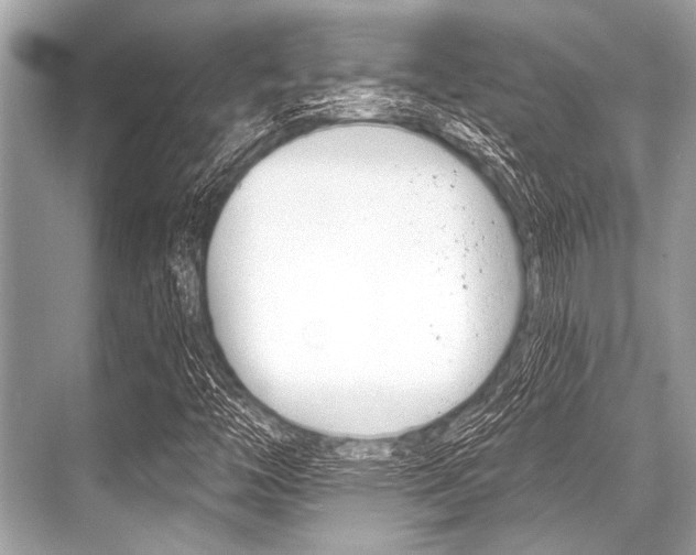 X0000068821446200605050930