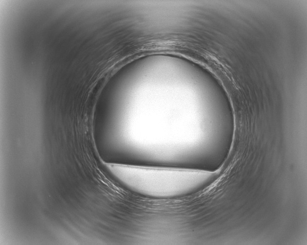 X0000068821449200605050930